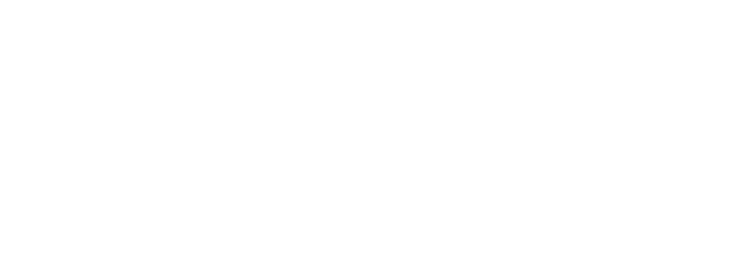Camion_Horizontal_Logo_White