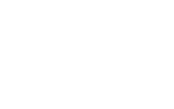 StormfighterNationLogo_Horiz_White-05